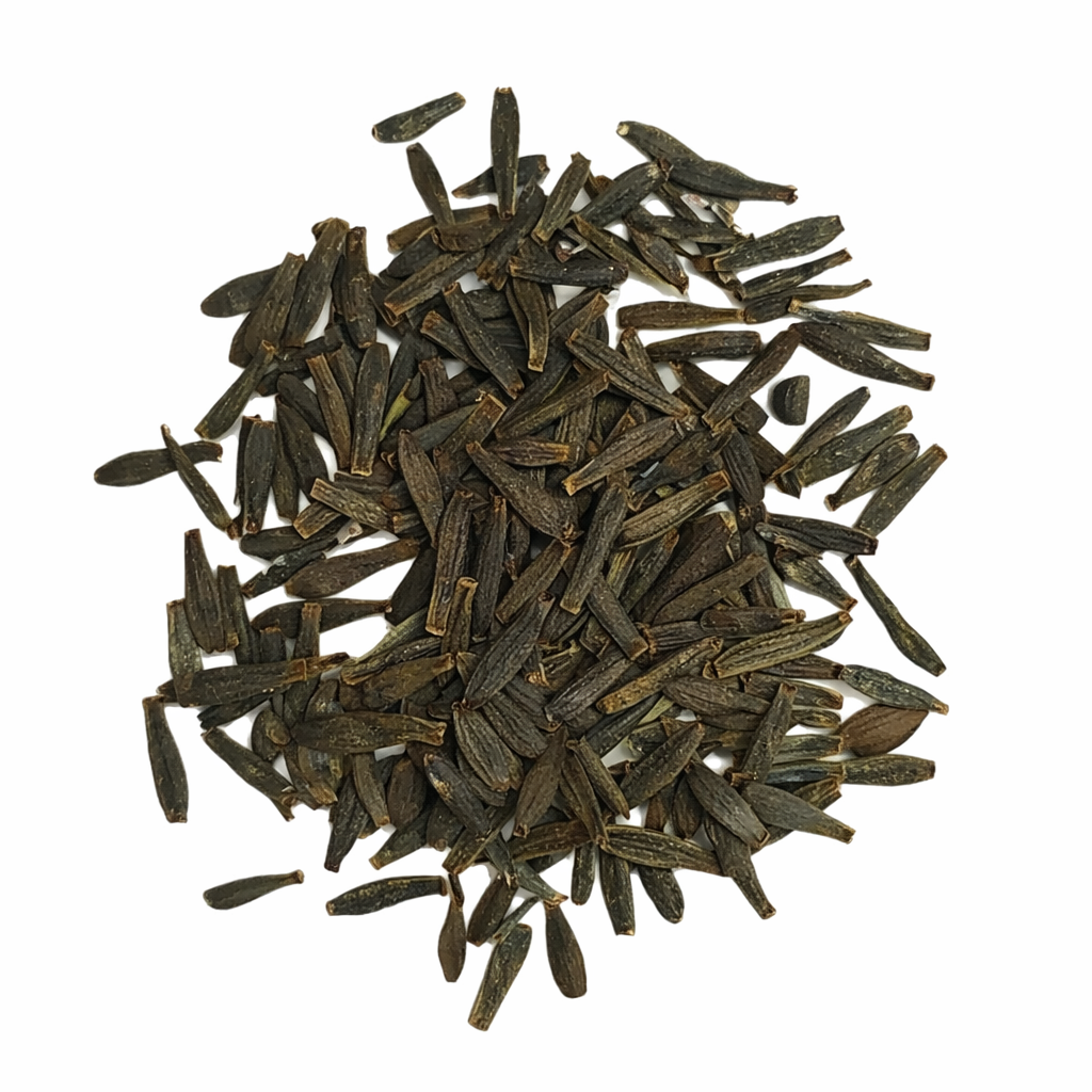 Dahlia Seeds for Home Sowing