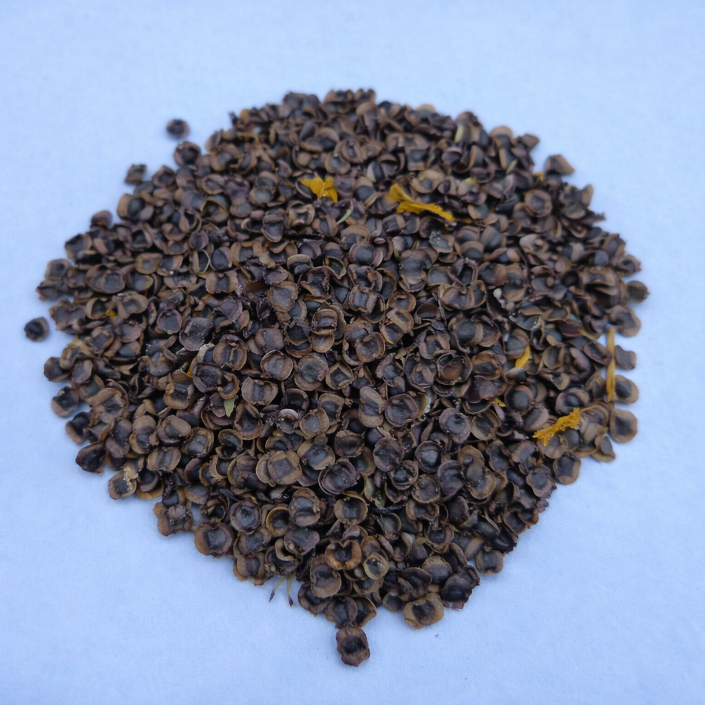 Coreopsis Seeds for Home Sowing