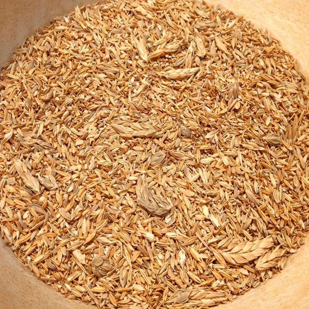 Crossandra (Kanakambaram) Seeds