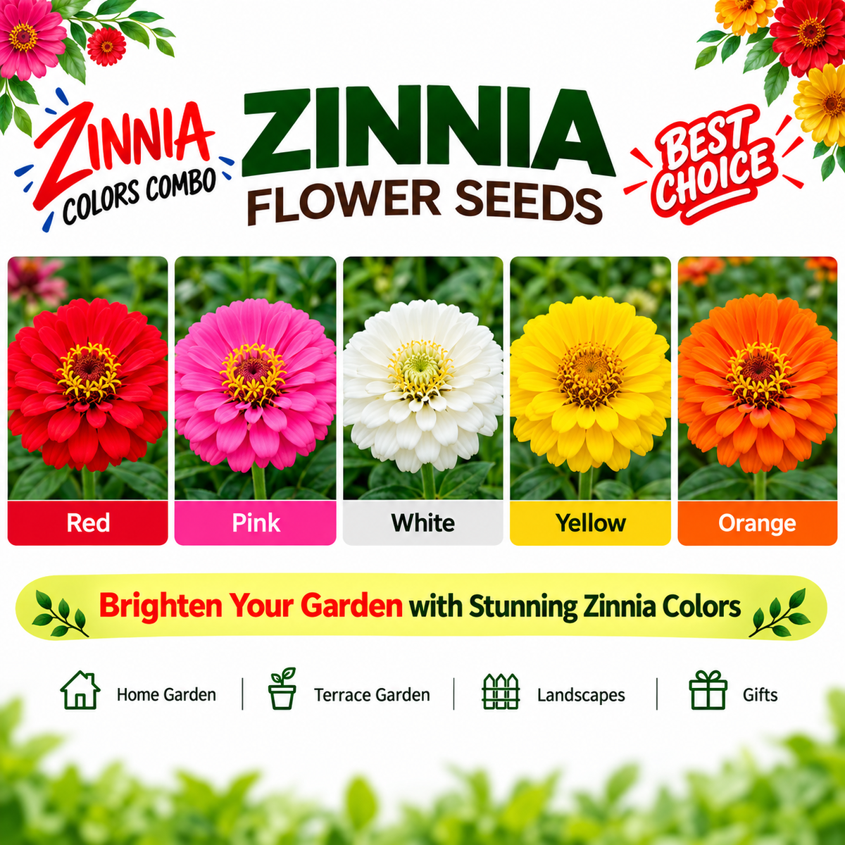 Zinnia 5 Color Combo – Red, Pink, White, Yellow & Orange Flower Seeds