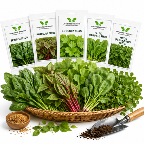 Desi Organic Leafy Vegetable Seeds - Vanashree Organics
