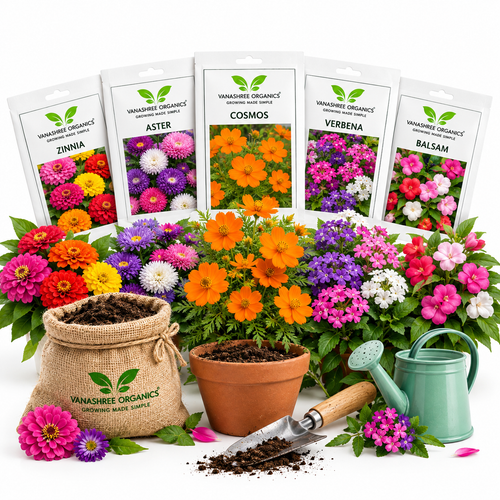 Organic Flower Seeds - Vanashree Organics