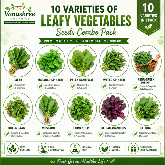 10 Variety Desi Leafy Vegetable Seeds Combo – Premium Seeds for Your Kitchen Garden - Vanashree Organics