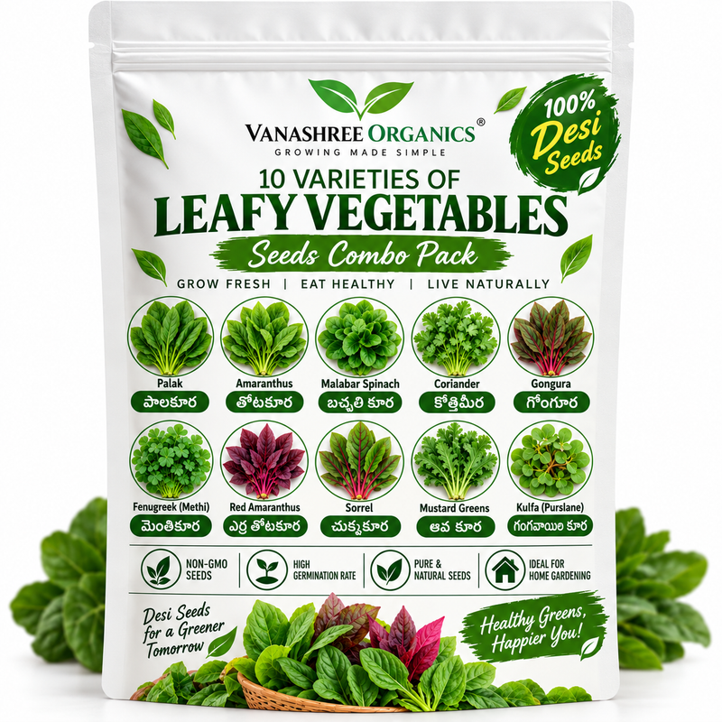 10 Variety Leafy Vegetable Seeds Combo Pack | పాలకూర, మెంతికూర, కొత్తిమీర & More