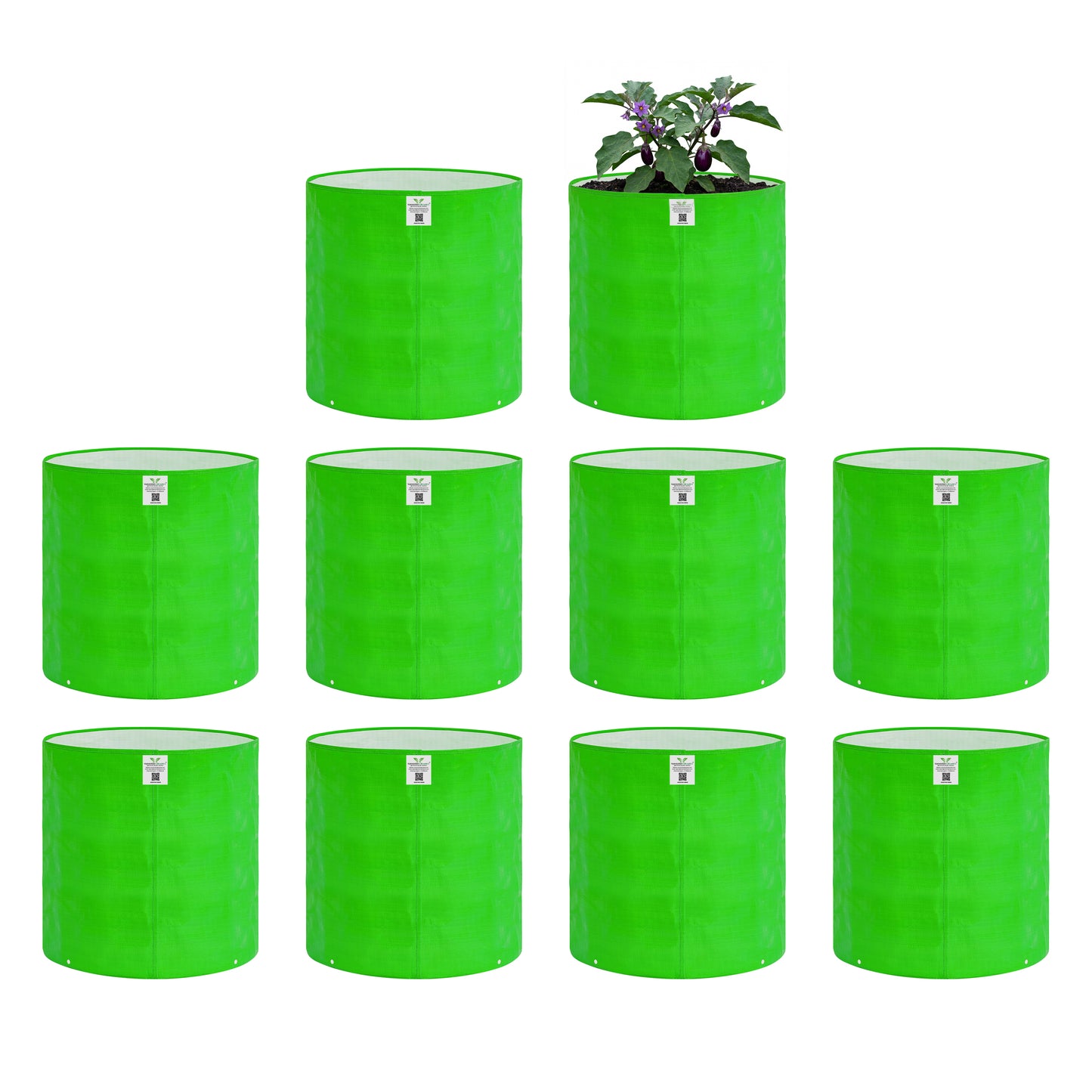 Grow Bag 12x12 Inch for Home Gardening