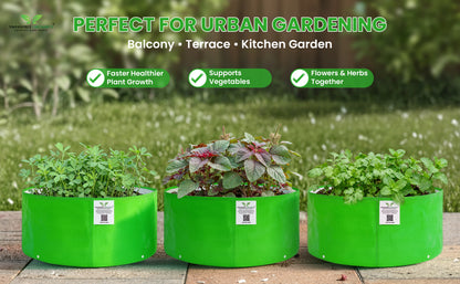 Grow Bag 12x6 Inch for Herbs & Greens