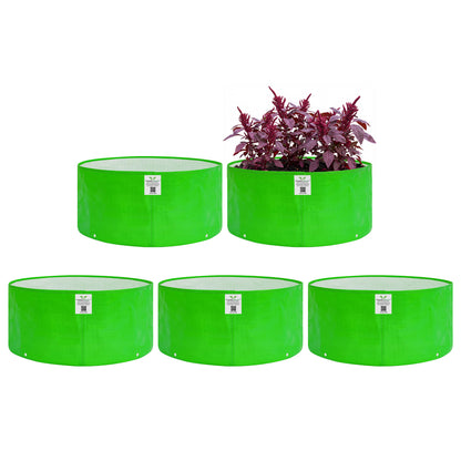 Grow Bag 12x6 Inch for Herbs & Greens