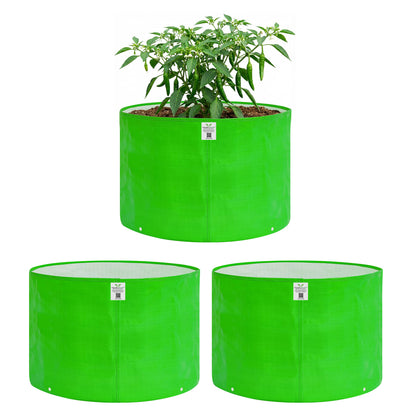 Grow Bag 15x12 Inch for Home Gardening