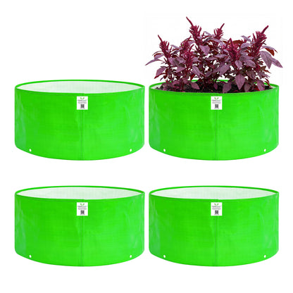 Grow Bag 18x6 Inch for Herbs & Greens