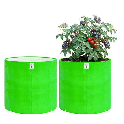 Grow Bag 18x24 Inch for Home Gardening