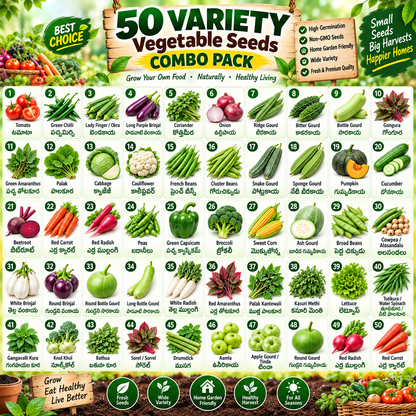 50 Variety Desi Vegetable Seeds Combo | Premium Vegetable Seeds Kit | High Germination | Kitchen & Terrace Garden