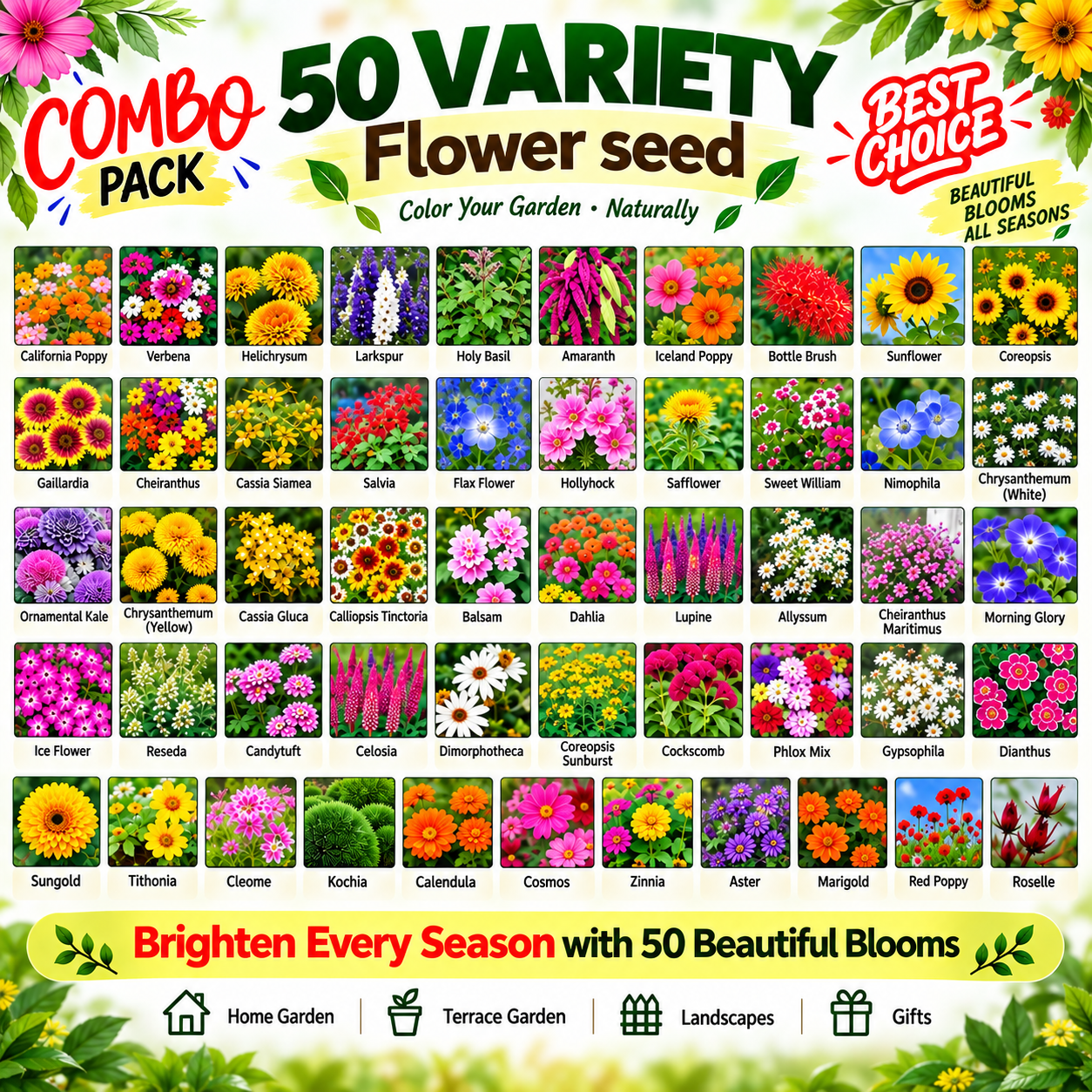 50 Variety Flower Seed Combo Pack
