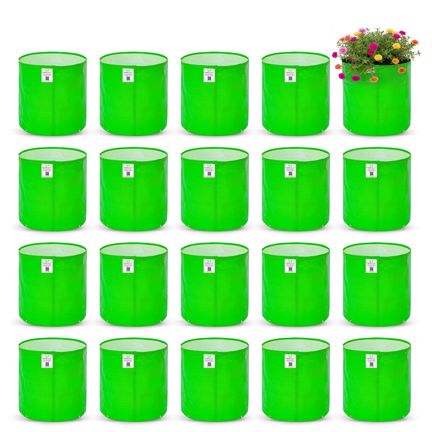 Grow Bag 6x6 Inch for Herbs & Seeds