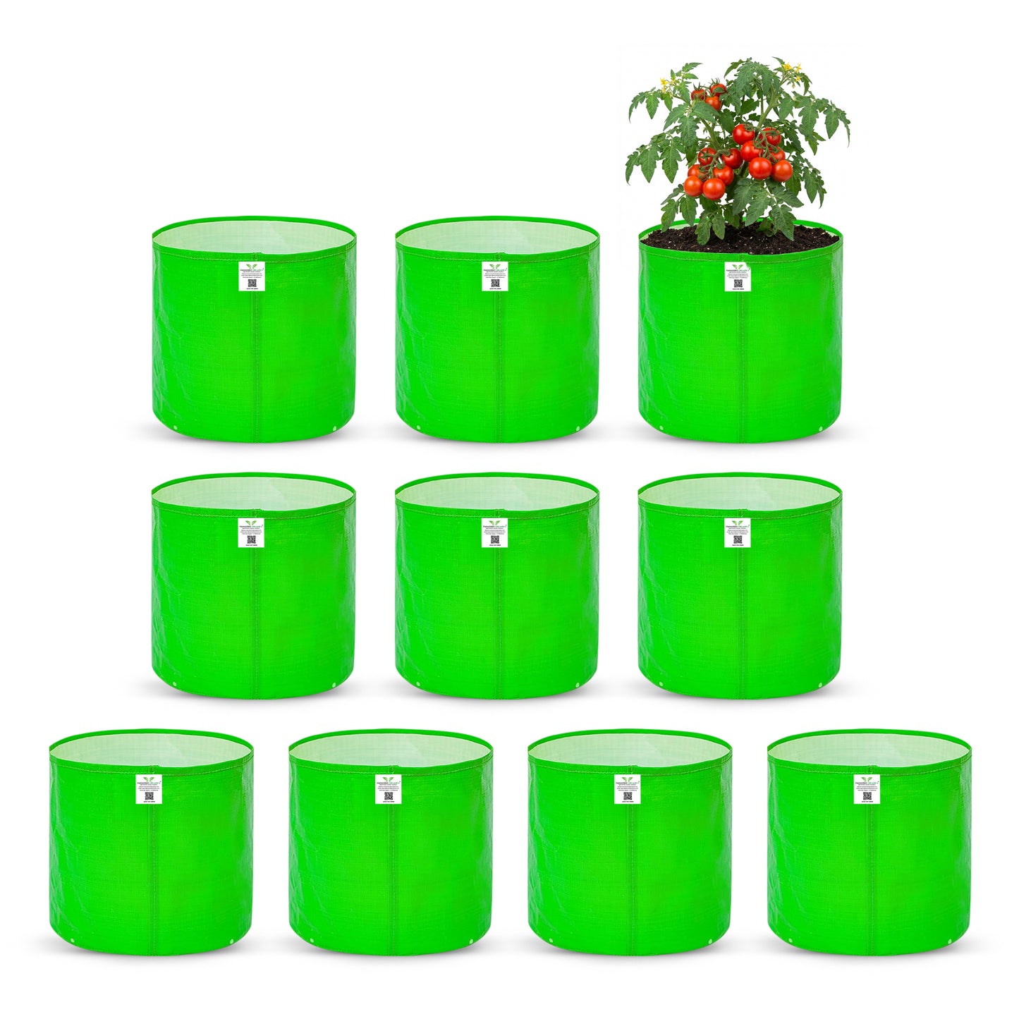 Grow Bag 9x12 Inch for Home Gardening