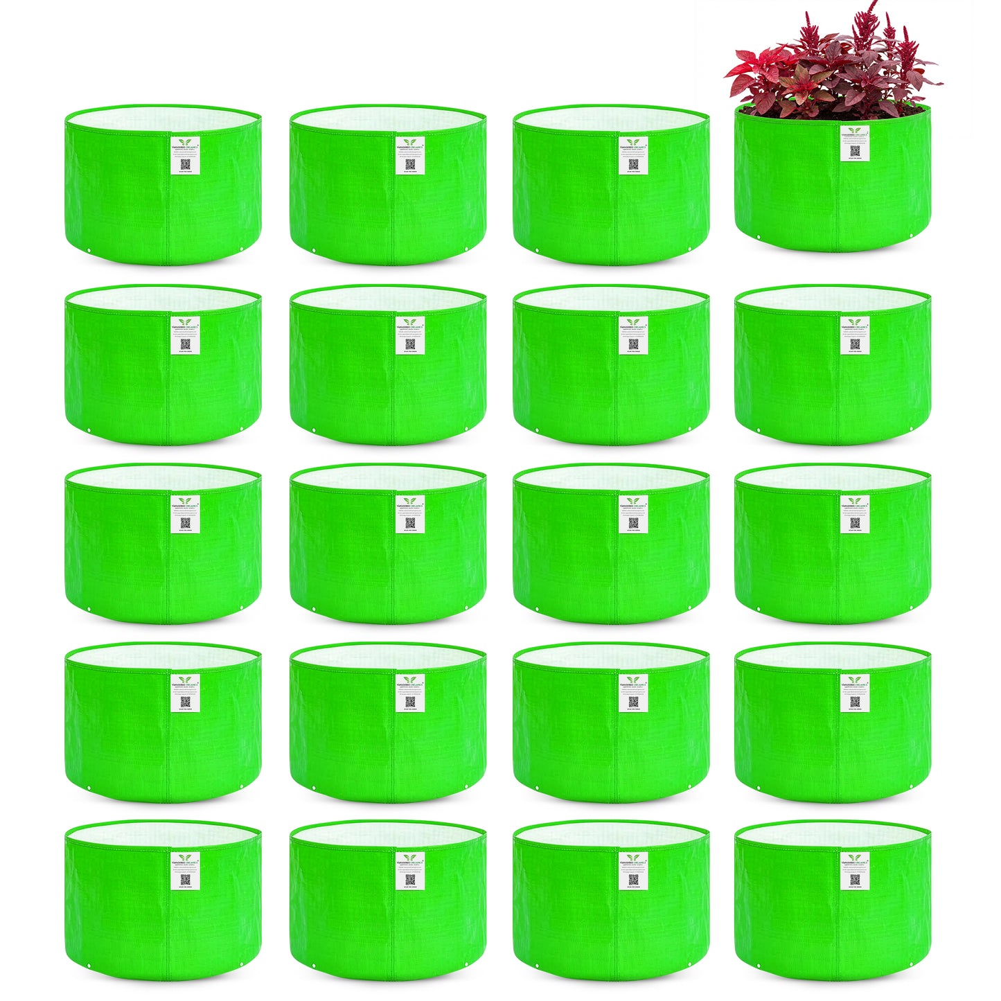 Grow Bag 9x6 Inch for Herbs & Greens