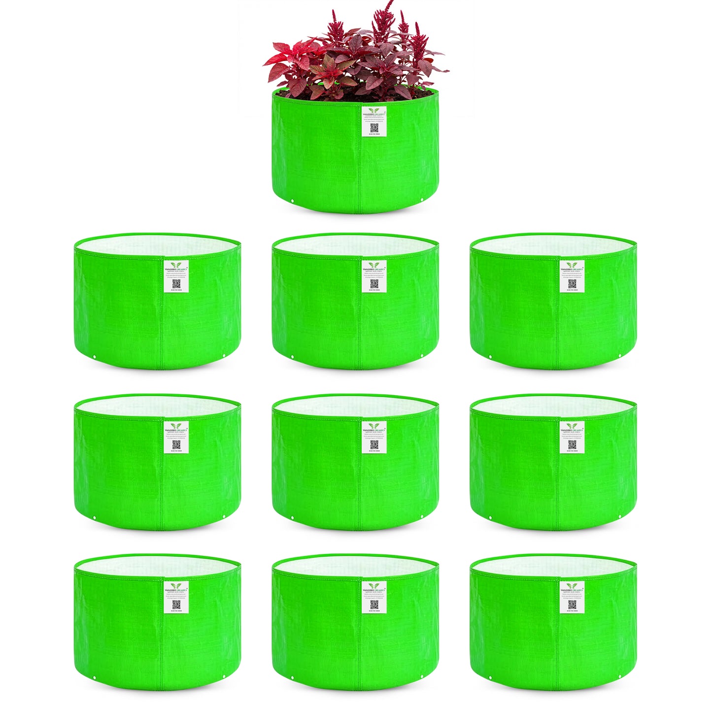 Grow Bag 9x6 Inch for Herbs & Greens