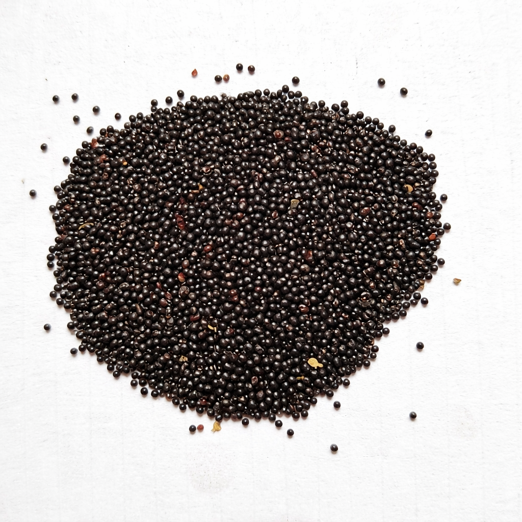 Amaranthus Seeds – Desi Thotakura Variety | Chaulai/Thandu Keerai/Harive Soppu | High Germination for Home Gardening - Vanashree Organics