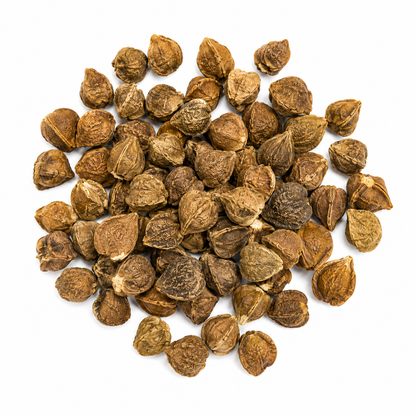 Amla Seeds – Desi Usirikaya Variety | Indian Gooseberry Fruit Tree Seeds for Home Gardening - Vanashree Organics