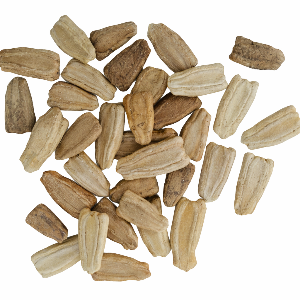 Bottle Gourd Seeds – Desi Round Variety | Sorakaya/Lauki/Suraikkai | High Germination for Home Gardening - Vanashree Organics