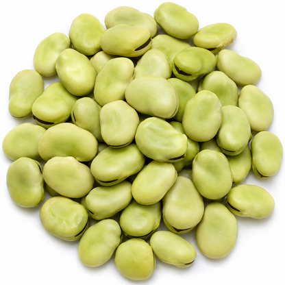 Broad Beans Seeds – Desi Chikkudu Kaya Variety | Sem/Avarakkai/Avarekalu | High Germination for Home Gardening - Vanashree Organics