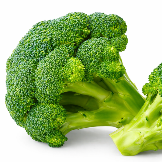Broccoli Seeds – High Germination Green Vegetable Seeds for Home Gardening - Vanashree Organics
