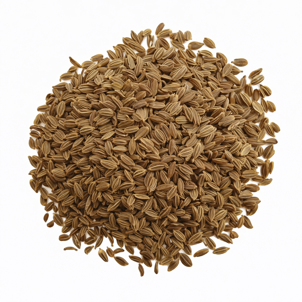Carrot Seeds – Desi Variety | Gajar/Carrot | High Germination for Home Gardening - Vanashree Organics