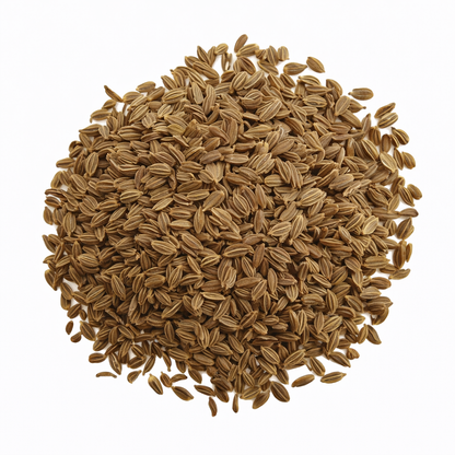 Carrot Seeds – Desi Variety | Gajar/Carrot | High Germination for Home Gardening - Vanashree Organics