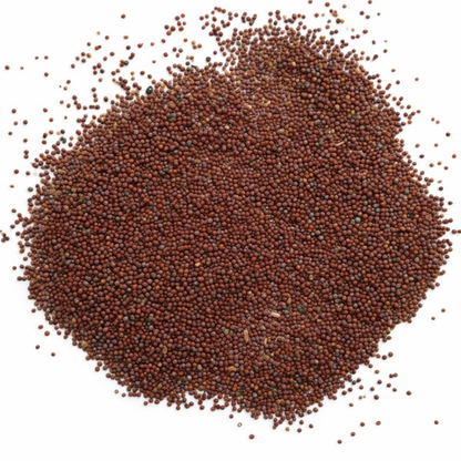 Petunia Seeds for Home Sowing