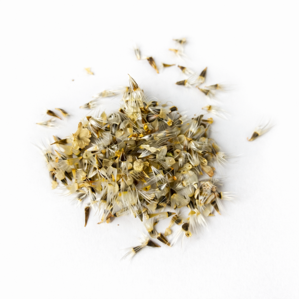 Gaillardia Seeds for Home Sowing
