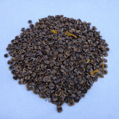 Coreopsis Seeds for Home Sowing