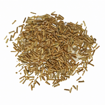 Verbena Seeds for Home Sowing