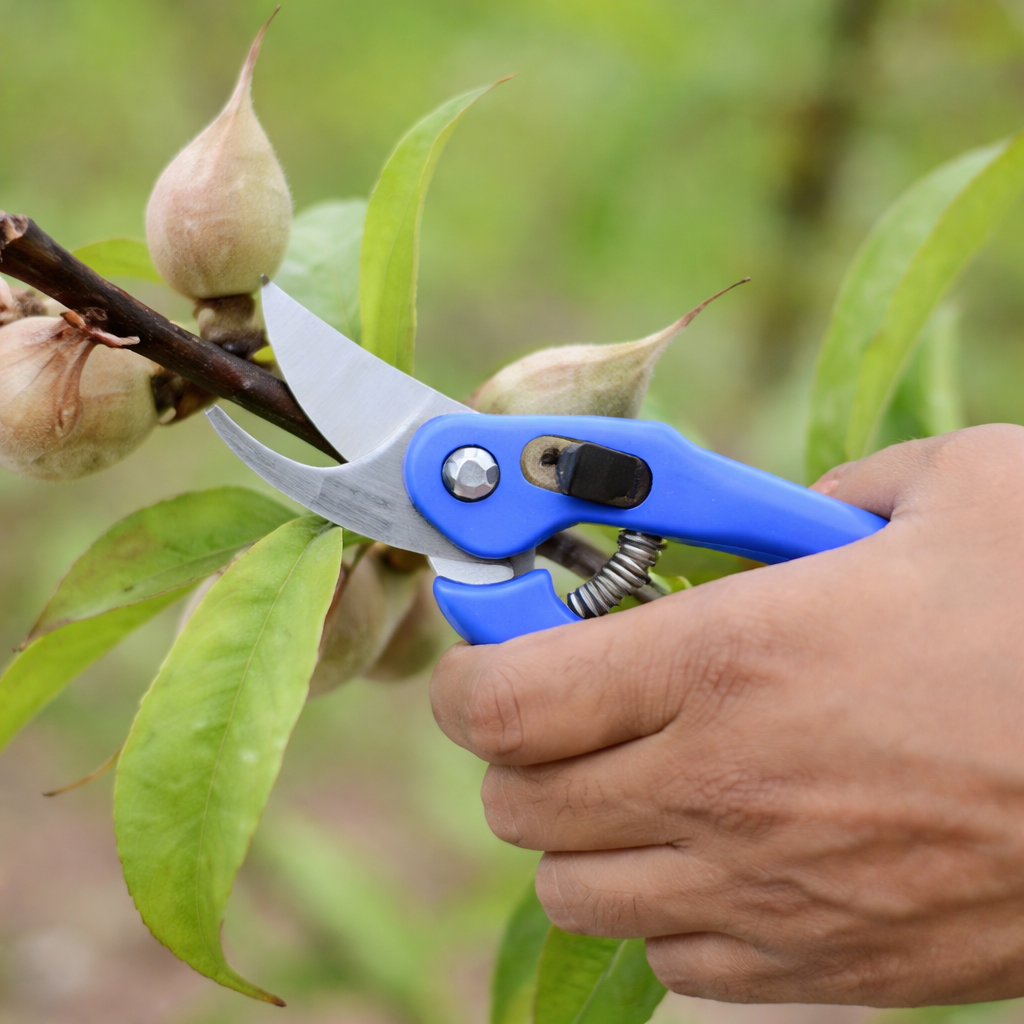 Garden Pruner for Clean Cutting