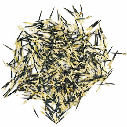 African Marigold Seeds for Home Sowing