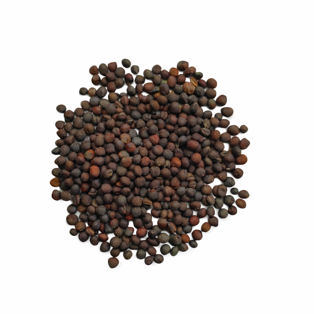 Knol Khol (Kohlrabi) Seeds