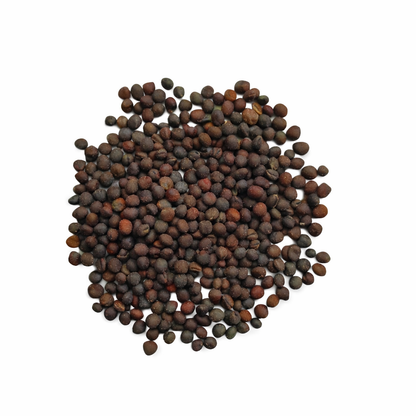 Knol Khol (Kohlrabi) Seeds