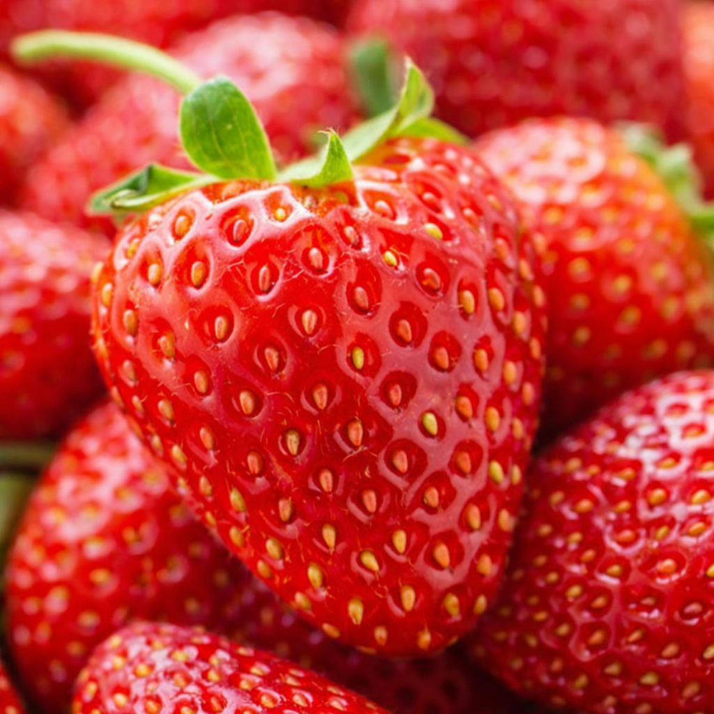 Strawberry Seeds for Home Sowing