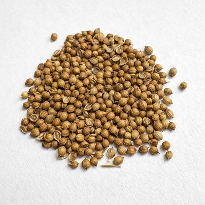 Coriander Seeds – Desi Dhaniya Variety | Kothimeera/Kothamalli | High Germination for Home Gardening - Vanashree Organics
