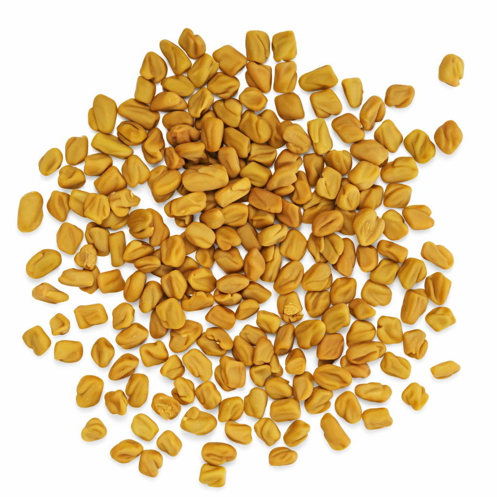Fenugreek Seeds – Desi Methi Variety | Menthikura/Vendhayam | High Germination for Home Gardening - Vanashree Organics