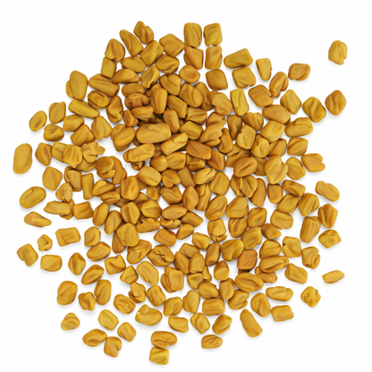 Fenugreek Seeds – Desi Methi Variety | Menthikura/Vendhayam | High Germination for Home Gardening - Vanashree Organics