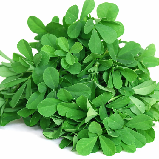 Fenugreek Seeds – Desi Methi Variety | Menthikura/Vendhayam | High Germination for Home Gardening - Vanashree Organics