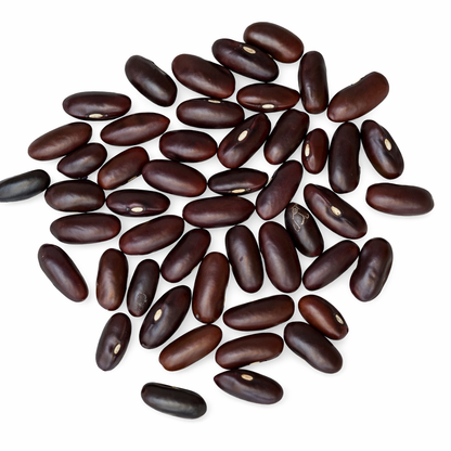 French & Pole Beans Seeds – Desi Variety | Farasbi/Beans | High Germination for Home Gardening - Vanashree Organics