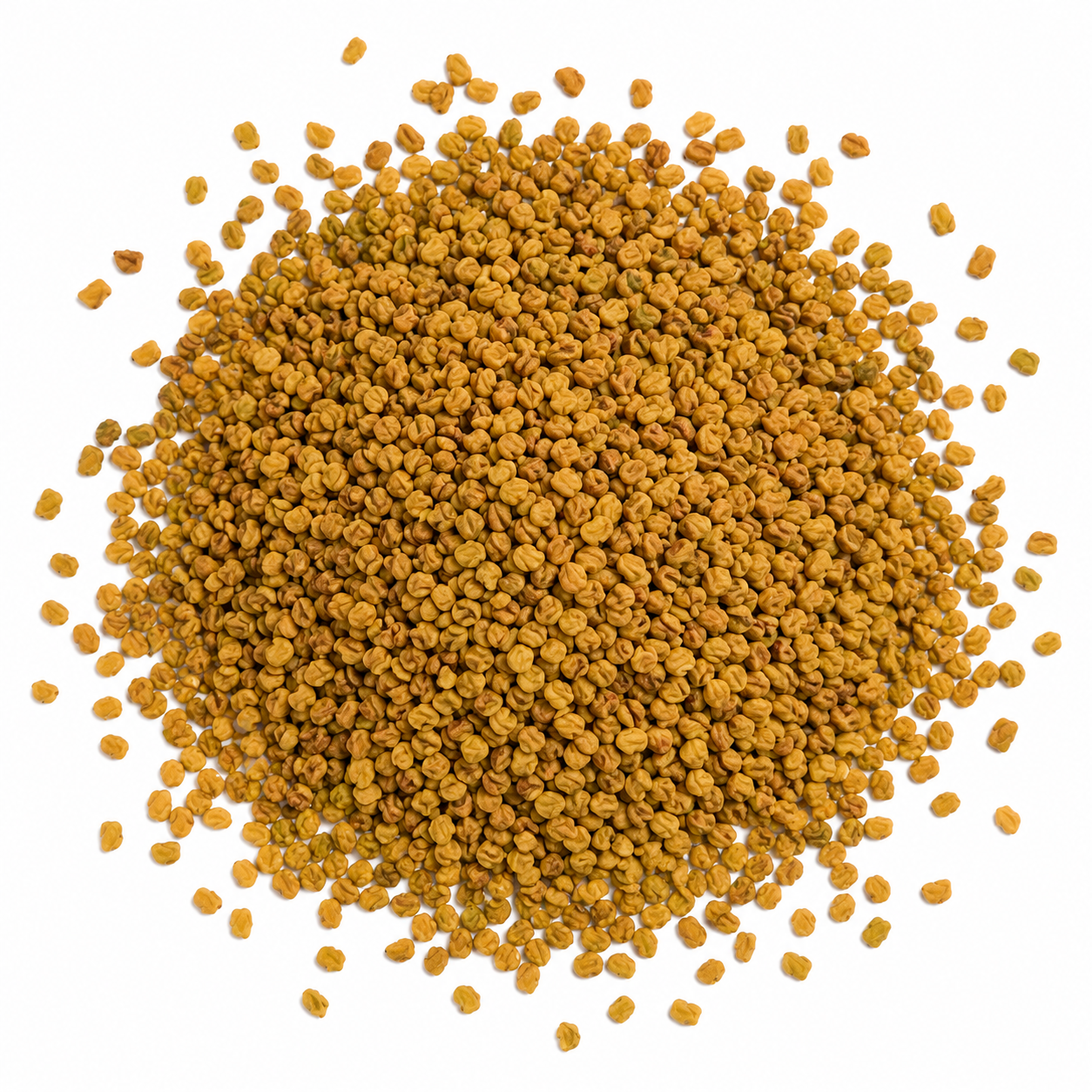 Kasturi Methi Seeds – Menthikura Variety | Aromatic Fenugreek Leaf Seeds for Home Gardening - Vanashree Organics