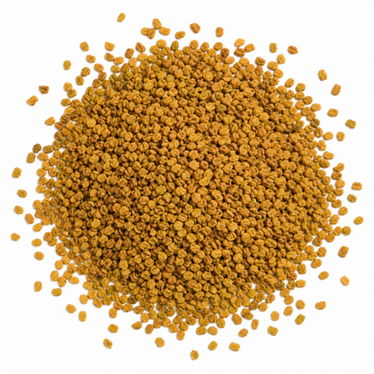 Kasturi Methi Seeds – Menthikura Variety | Aromatic Fenugreek Leaf Seeds for Home Gardening - Vanashree Organics