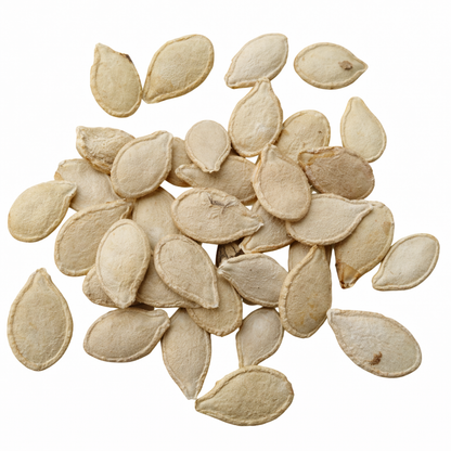 Pumpkin Seeds – Desi Gummadikaya Variety | Kaddu/Poosanikai | High Germination for Home Gardening - Vanashree Organics