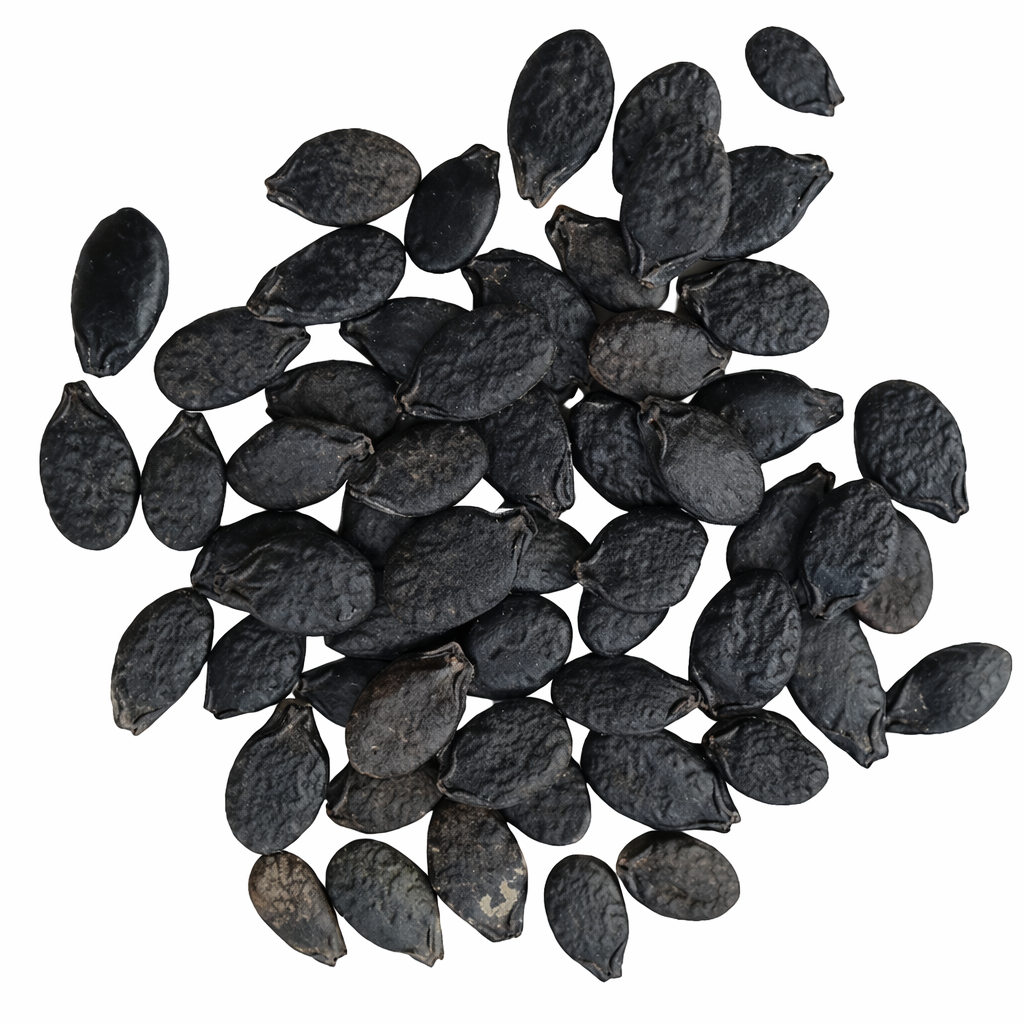 Ridge Gourd Seeds – Desi Beerakaya Variety | Turai/Peerkangai | High Germination for Home Gardening - Vanashree Organics