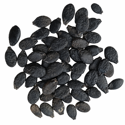 Ridge Gourd Seeds – Desi Beerakaya Variety | Turai/Peerkangai | High Germination for Home Gardening - Vanashree Organics