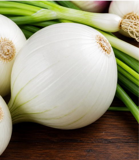 Onion White Seeds for Home Sowing