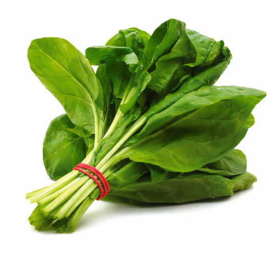 Spinach Seeds – Desi Palak Variety | Palakura/Pasalai Keerai | High Germination for Home Gardening - Vanashree Organics