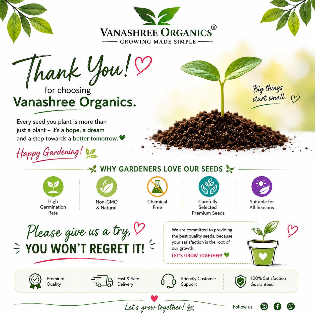 10 Variety Desi Leafy Vegetable Seeds Combo – Premium Seeds for Your Kitchen Garden - Vanashree Organics