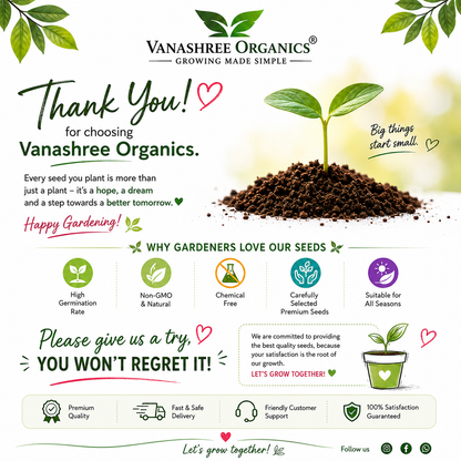10 Variety Desi Leafy Vegetable Seeds Combo – Premium Seeds for Your Kitchen Garden - Vanashree Organics
